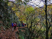 Il sottobosco offre sempre scorci interessanti....